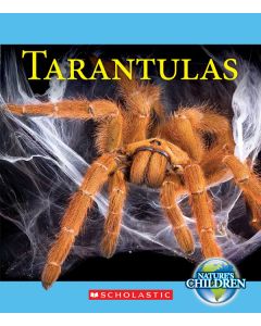 Tarantulas