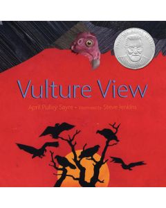 Vulture View