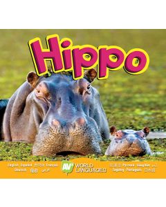 Hippo