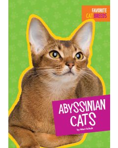 Abyssinian Cats