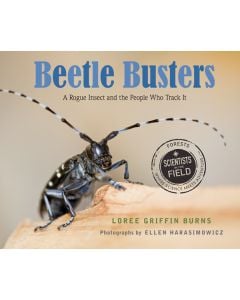 Beetle Busters: A Rogue Insect and the People Who Track It