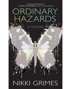 Ordinary Hazards