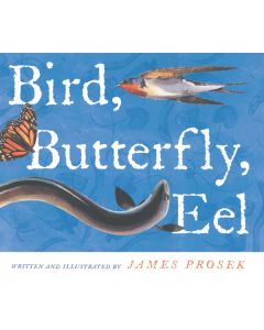 Bird, Butterfly, Eel