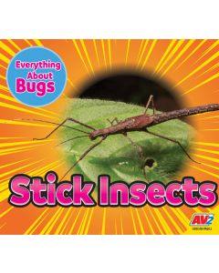 Stick Insects