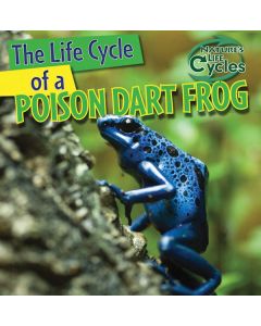 The Life Cycle of a Poison Dart Frog