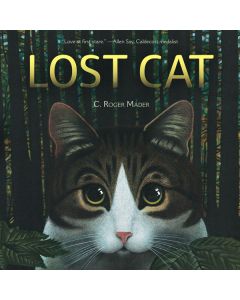 Lost Cat