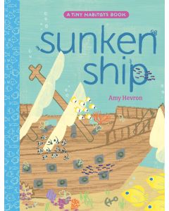 Sunken Ship