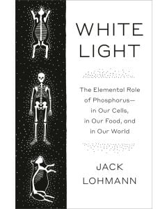 White Light: The Elemental Role of Phosphorus-in Our Cells, in Our Food, and in Our World