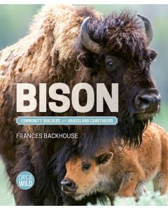 Bison: Community Builders and Grassland Caretakers