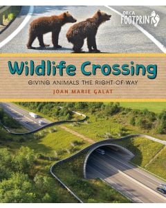 Wildlife Crossing: Giving Animals the Right of Way