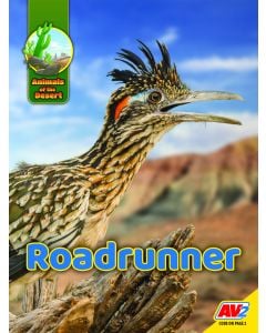 Roadrunner