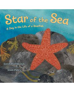 Star of the Sea: A Day in the Life of a Starfish