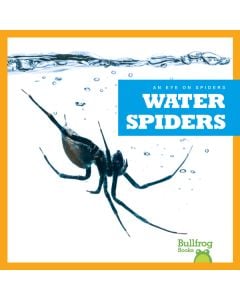 Water Spiders