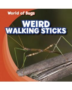 Weird Walking Sticks