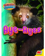 Aye-Ayes