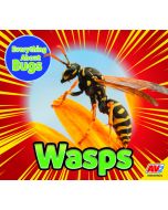 Wasps