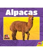 Alpacas