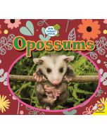 Opossums