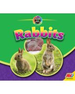 Rabbits