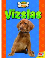 Vizslas