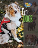 Eco Dogs