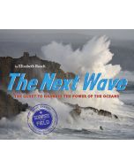 The Next Wave: The Quest to Harness the Power of the Oceans