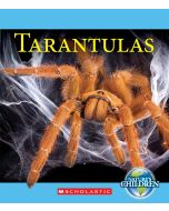 Tarantulas