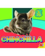 Chinchilla