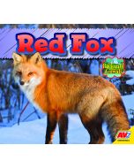 Red Fox