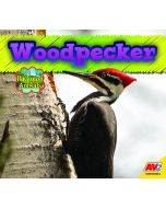 Woodpecker