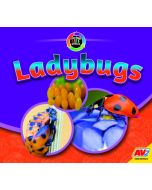 Ladybugs