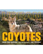 Urban Coyotes